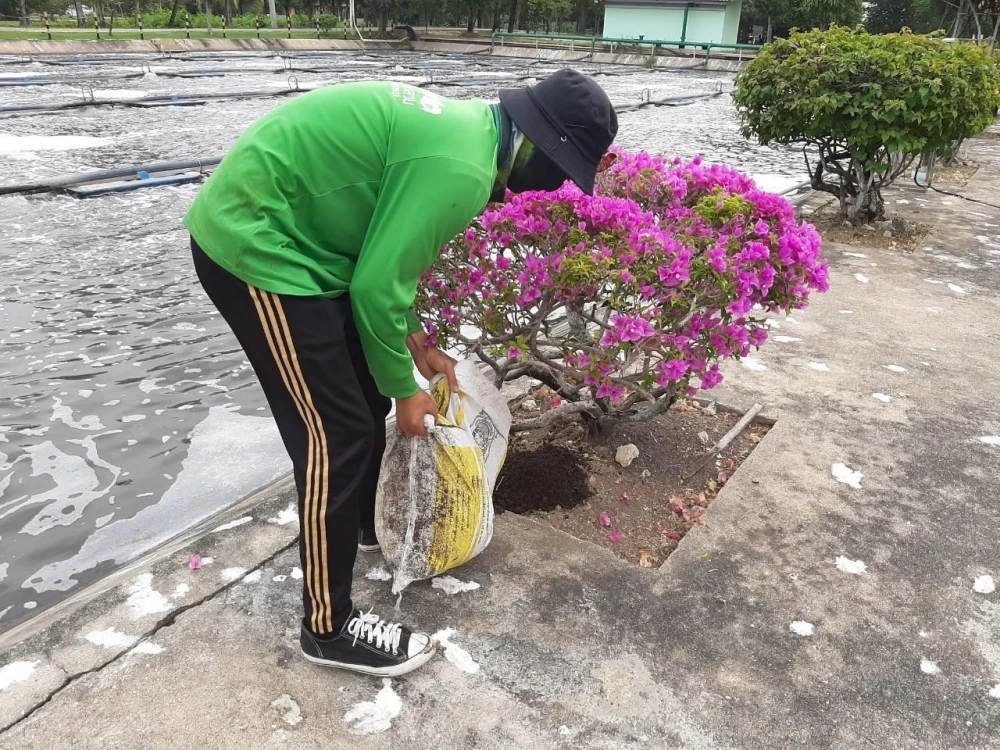 โครงการ ย่อยสลายตะกอนน้ำเสียด้วยไส้เดือนดิน