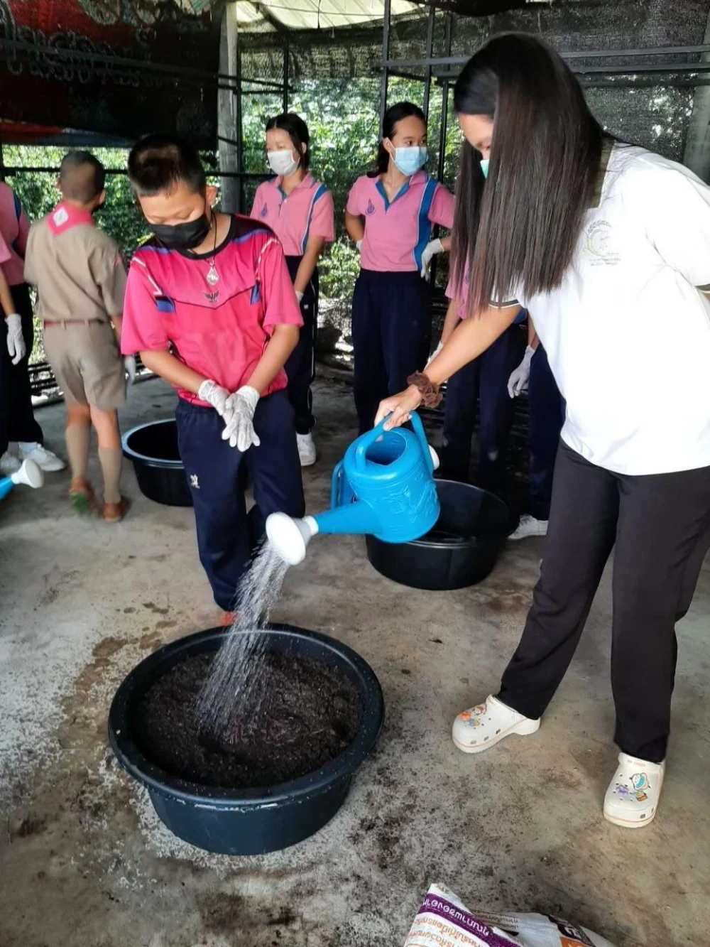 โครงการ ย่อยสลายตะกอนน้ำเสียด้วยไส้เดือนดิน
